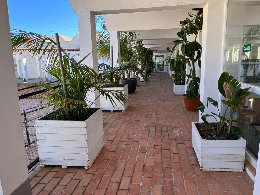 Hotel La Alcoholera Villaviciosa de Córdoba エクステリア 写真